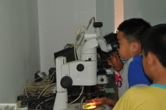 显微镜观察2