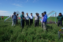 7月11日，院党组成员、副秘书长何岩一行调研草牧业示范区苜蓿人工草地