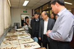 2张亚平副院长视察植物标本馆标本保存情况